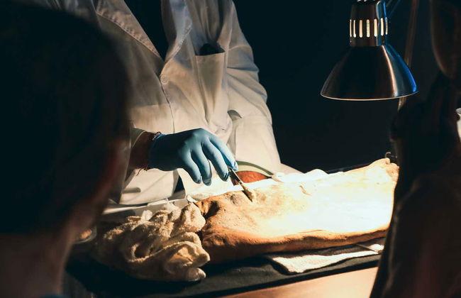 Real Pirates Museum Tickets - Foto 7