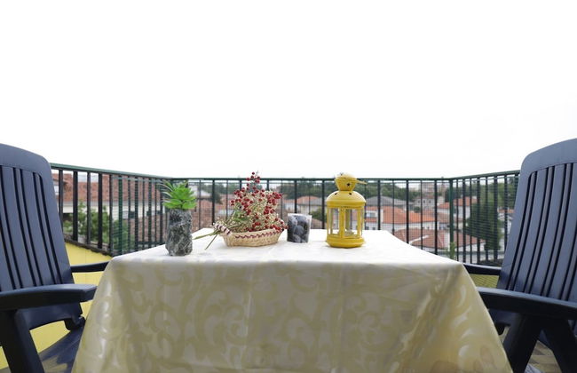 Welc-oM Panoramic - Photo 10