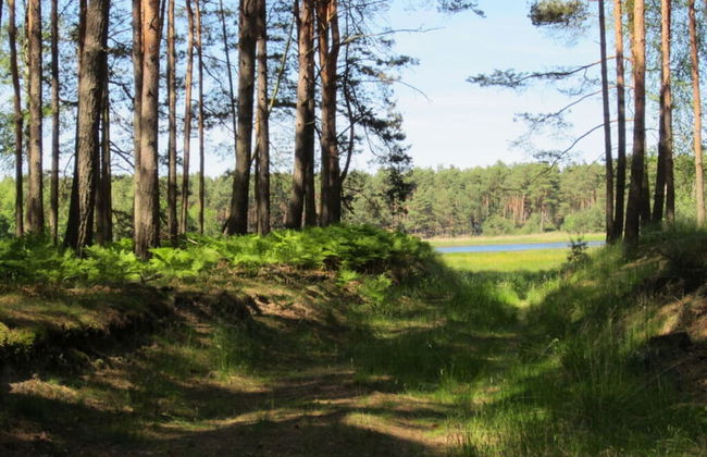 Holiday Apartment V Freyja - Photo 15