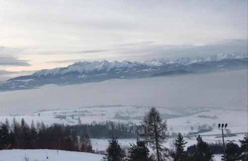 Willa Pienińska - Foto 41