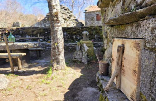 Cardenha das Formiguinhas - Foto 19