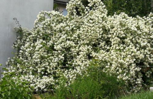 Lichtblick - Foto 20