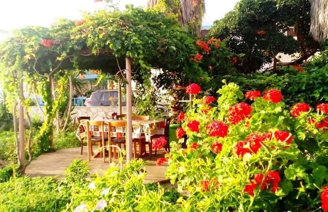 SEAesta Beach Studios - Photo 21