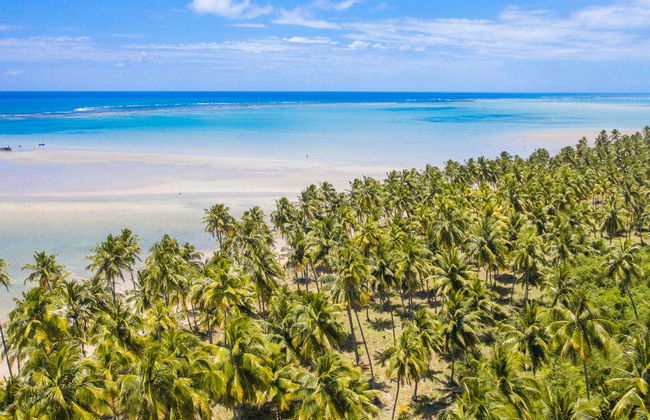 Excursión privada a Maragogi - Foto 6