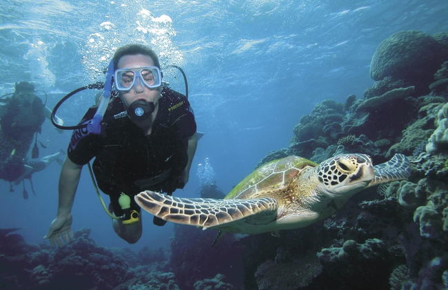Silkari Reflections of Port Douglas - Foto 22