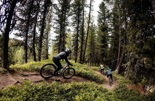 Dal Buffo Gufo - Foto 23