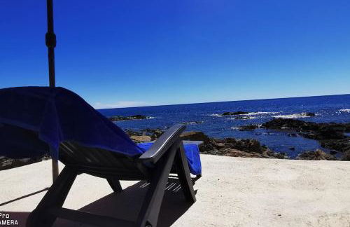 Pieds dans l'eau - La Villa Crique aux tortues - Foto 11