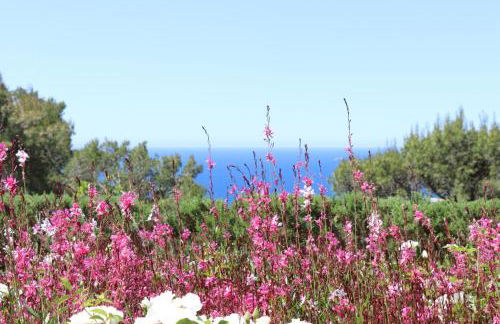 Mesomax - Villa vue mer, piscine, proche de la mer - Appartement RDC - Foto 20