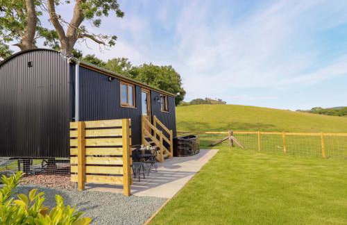 Defaid Cymreig - Foto 25