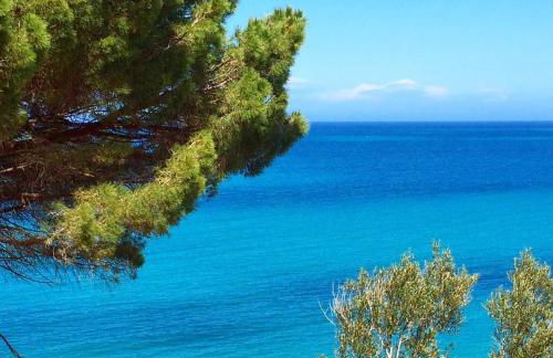 Andrea's Home - Foto 55