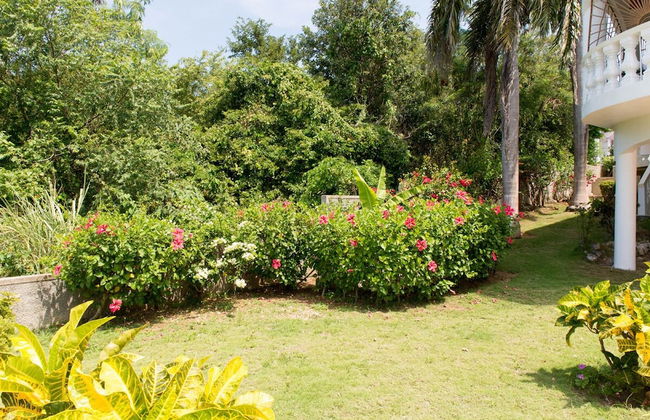 Villa Roma - Photo 18