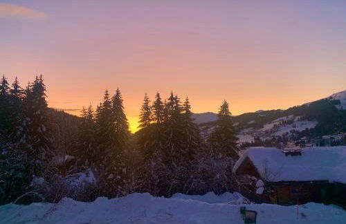 Chalet Le Renard Du Lac - Foto 48