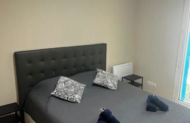 Appartement, vue sur l’étang, proche aéroport. - Foto 6