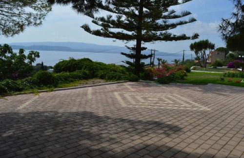 Mediterranean Studios - Photo 17