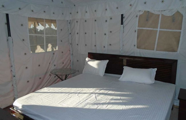 Pine pioneer the eco resort - Foto 3