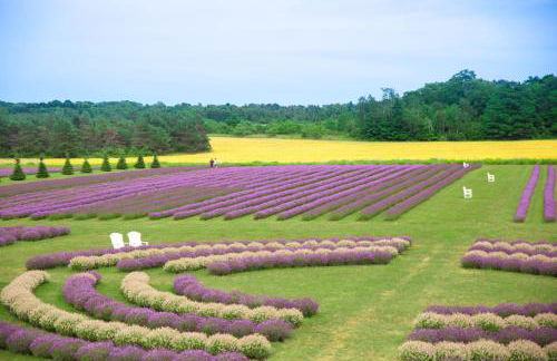 Cherry Hill - Minutes to Downtown! Hot Tub, Spacious Yard & Dogs OK! - Foto 25