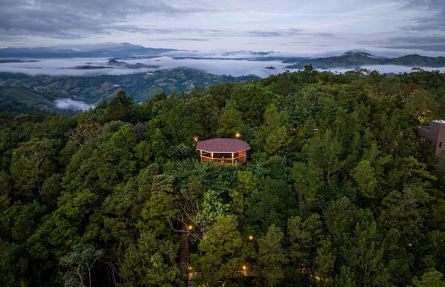 The Grand Forest Jarabacoa - Photo 58