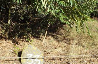 Zum Störtebeker 33 - Foto 31