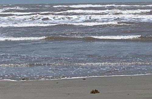 Pelican Hideaway - Foto 38