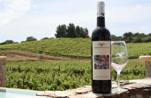 Villa Andorinha - Photo 39