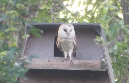 The Oak Lodge, Clematis Cottages, Stamford - Foto 27