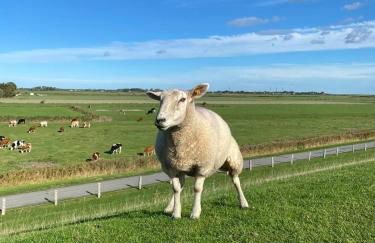 Fewo Kleiner Seehund - Foto 9