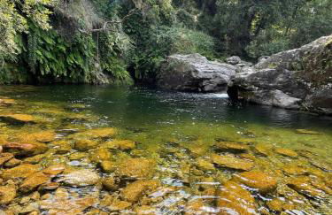CASA DA QUELHA - Foto 32