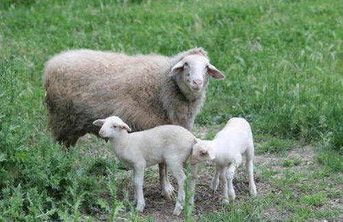 Agriturismo Cantagalli - Foto 119