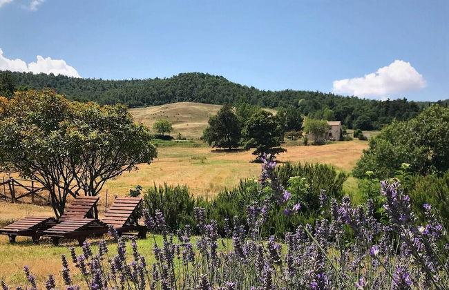 Borgo Poggio Bianco - Photo 63