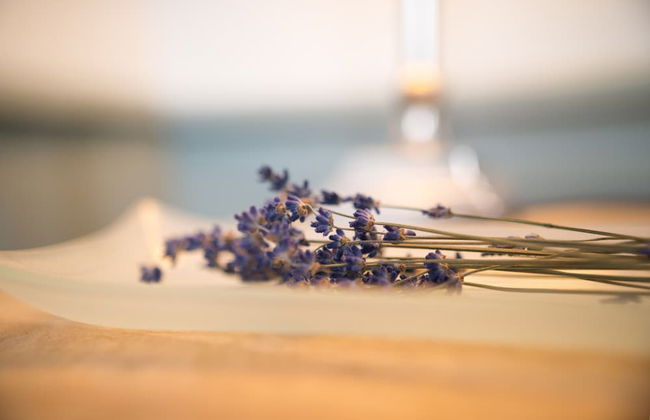 Maison Ailleurs - Foto 27