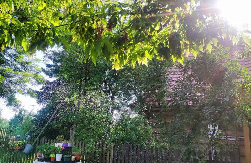 Gniazdo w Felicjanowie - Foto 26