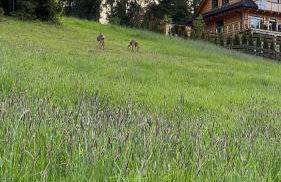 Dom na Zielonym Wzgórzu z własną Sauną i Jacuzzi - Foto 70