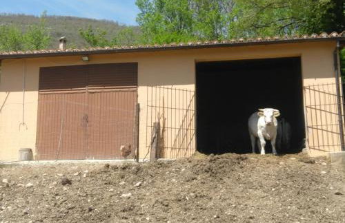 Agriturismo Tre Monti - Photo 30