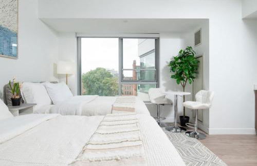 Lux Studio 2xQueen beds Gym near MIT Harvard - Photo 1