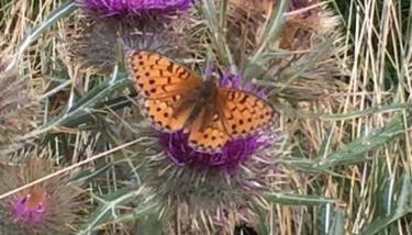 Appart très ensoleillé 5-6 pers au pied des pistes - Foto 4