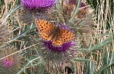 Appart très ensoleillé 5-6 pers au pied des pistes - Foto 4