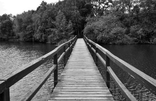 Marla am See - Foto 18