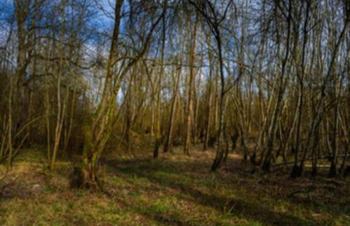 Holiday Home in Germany With Terrace - Foto 48