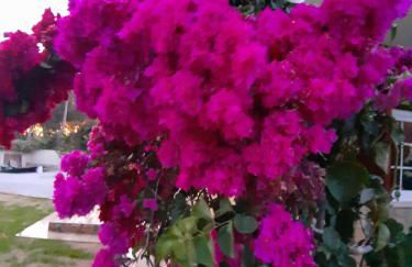 Villa Tumbine - Foto 20