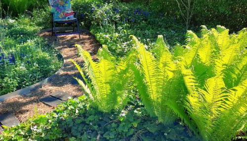 Holiday Home in Storkow mit Schönem Garten by Interhome - Foto 5