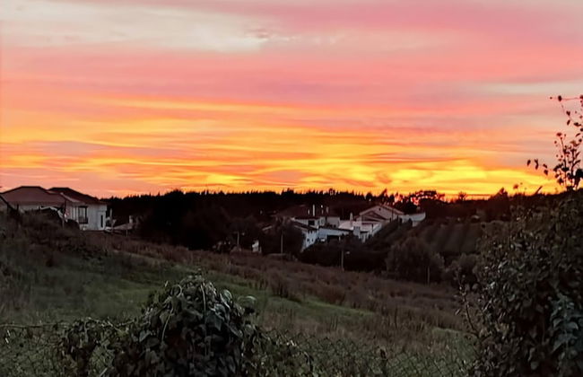 Cozy Vacation Rental in Peaceful Peral, Portugal - Photo 16