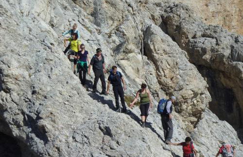 Residence Treyer - Foto 36