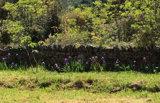 House Pod Humom - Foto 23