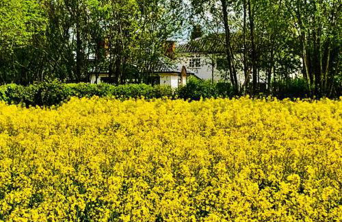 The BeeKeepers - Homely Luxurious Self Catering - Foto 48