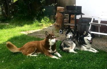 Eifel Urlaub mit Hunden Ferienhaus Schwalbennest Schalkenmehren - Foto 28