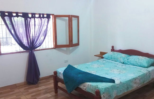 Entre Mangos y Tucanes - Foto 3