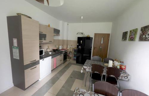 Skowerówka - Foto 17