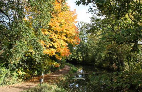 Cloud9StayZ at The Leafield - Foto 17