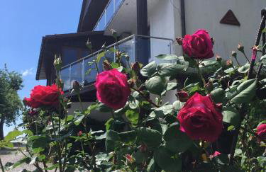 Zacisze pod Gołyską - Foto 10