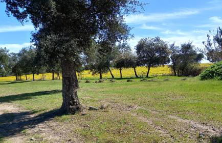 Monte Da Serralheira Agro Turismo - Foto 44